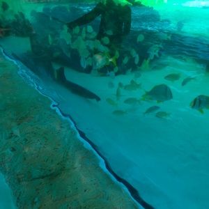 Meet your Posher, Jess